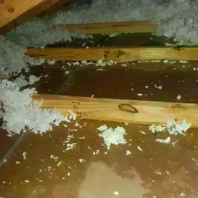 Attic Water Damage in Bagdad, AZ